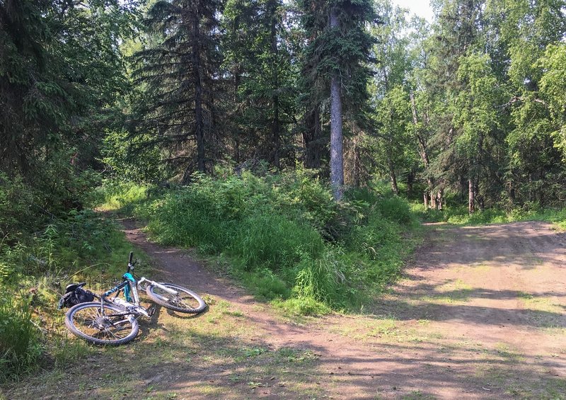 This singletrack crosses several other wide x-country ski trails as it winds through the system. These are also open to mtb riders and can be fun if you don't mind riding wide trails.