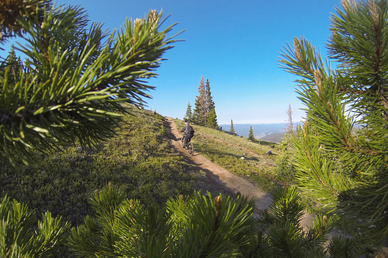 Climbing up the 'Crest.