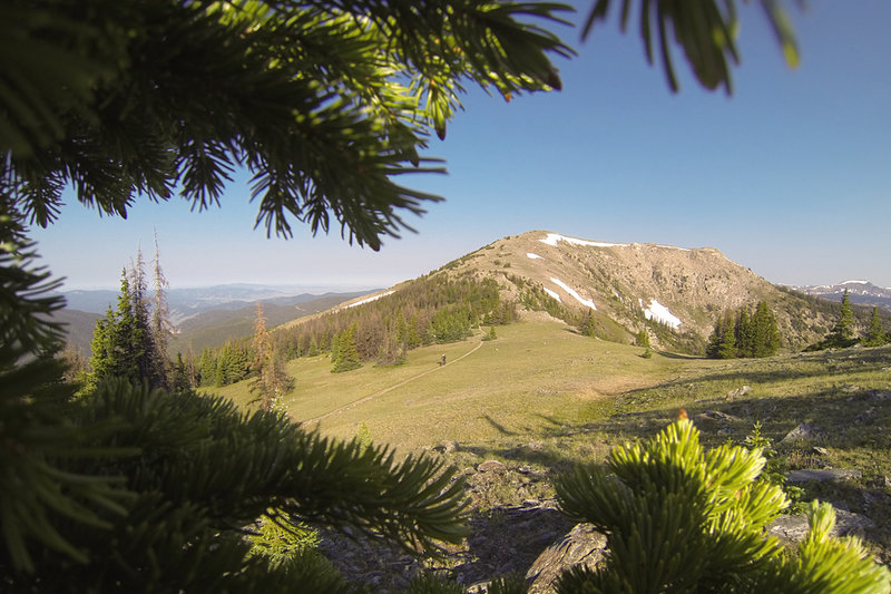 Great views on the 'Crest.