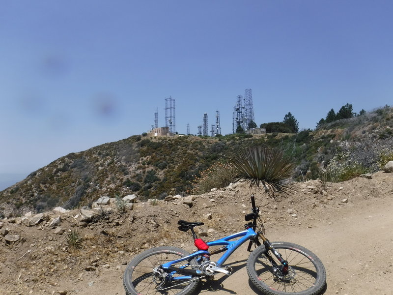 The goal is in sight: Mount Lukens and its transmission towers.