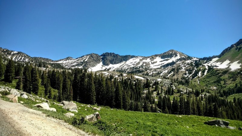 View of Devil's Castle from Albion Basin Summer Road.