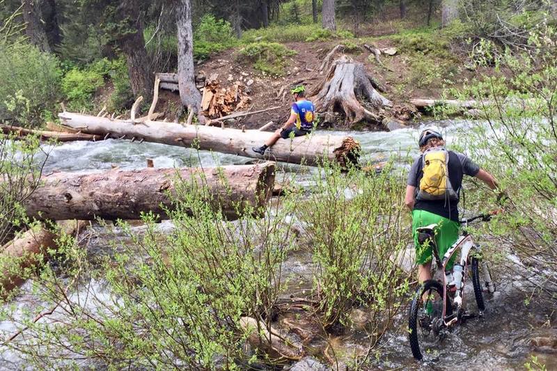 Goose Creek log bridge has washed out, pic as of June 18, 2017. Passable but precarious new log. Wear flats.