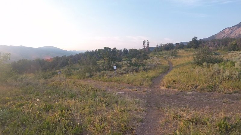 Stay straight on the Mule Shoe trail cross trail.