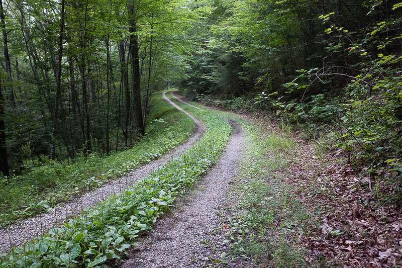 Doubletrack is what you get for about the first half of the trail.