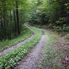 Doubletrack is what you get for about the first half of the trail.