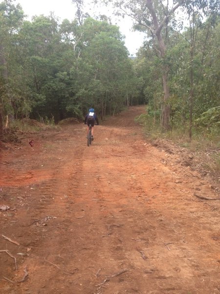 A new bit of trail which has just been cleared for a fire break on a long down hill.