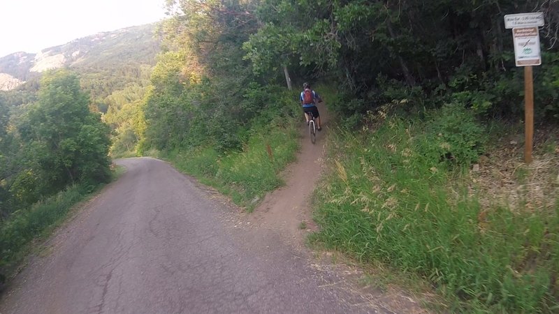 Start of the climb on Mule Ear trail riding clockwise.