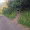 Start of the climb on Mule Ear trail riding clockwise.