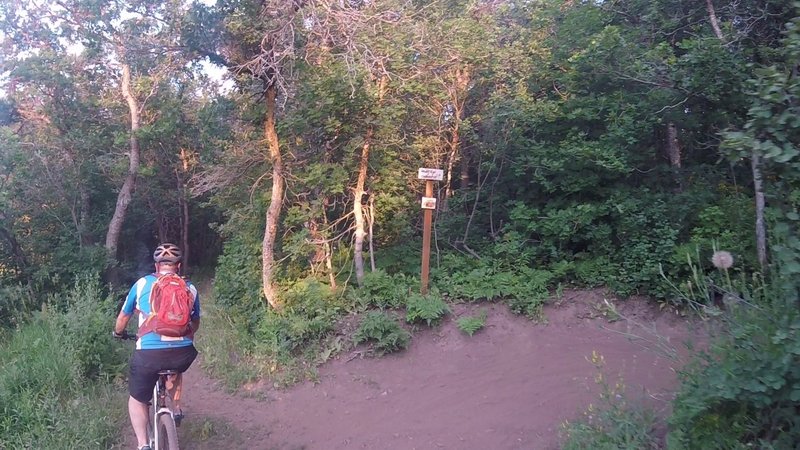 Trail on the left takes you back to the SW North Fork Park road and the jeep trail for Mule Shoe.