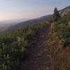 Feel free to detour to the Cold Creek Overlook out and back trail.