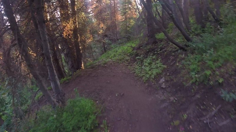 One of many tight switchbacks on Mule Ear trail.