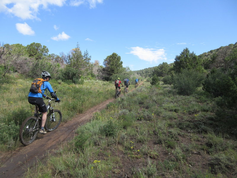 Upper flat on the Lower Springs Creek Trail.