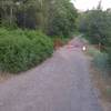 Through the gate and up North Fork River road/trail.