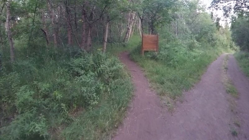 Singletrack trail on left to start the climb on Bicentennial Trail.