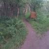 Singletrack trail on left to start the climb on Bicentennial Trail.