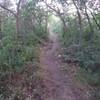 Reaching the top of Bicentennial Trail.