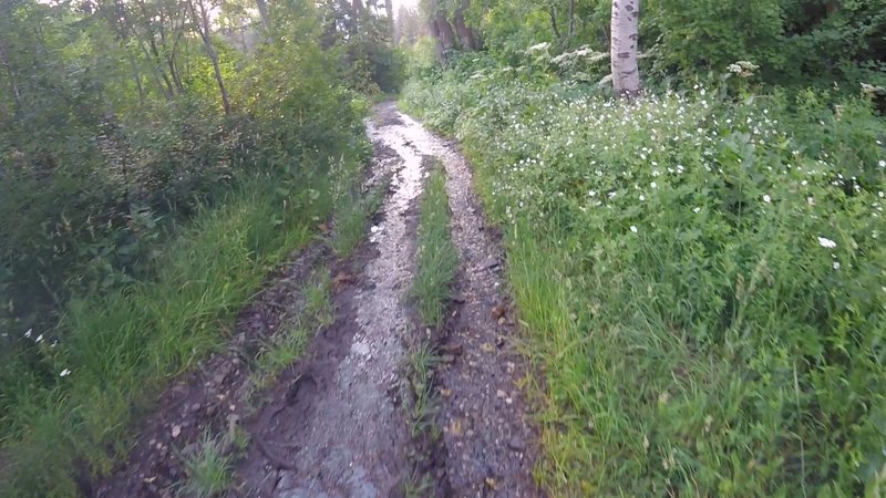 Wet decent on Cutler Creek service road/trail.