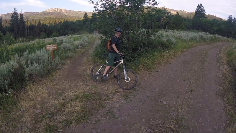 Bottom of the Middle Link connector trail by the North Fork River Trail.