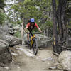 Negotiating some of the perfect rock features found throughout the Mule Deer Trail.