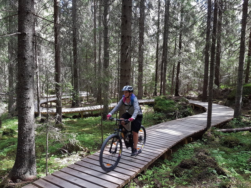 The Sherwood Forest element of Rookie in GT Bike Park, Trysil
