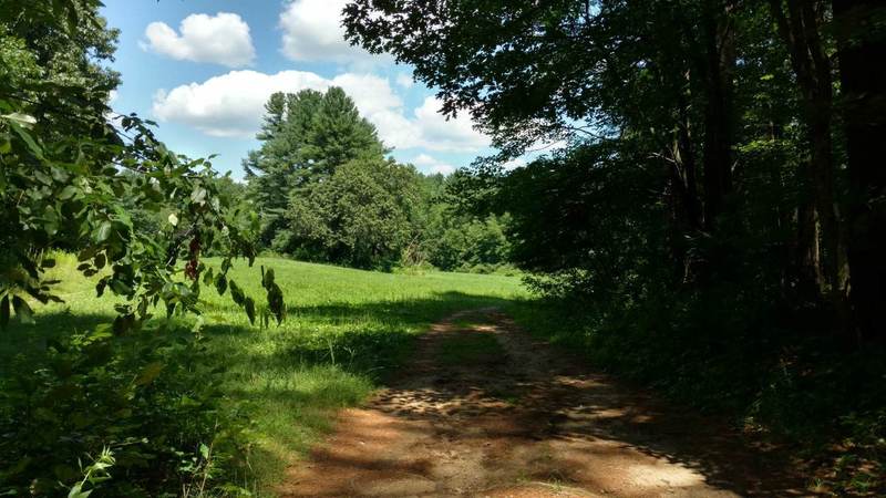 Hill Side Trail is off to left; what you see is the Litchfield Loop.