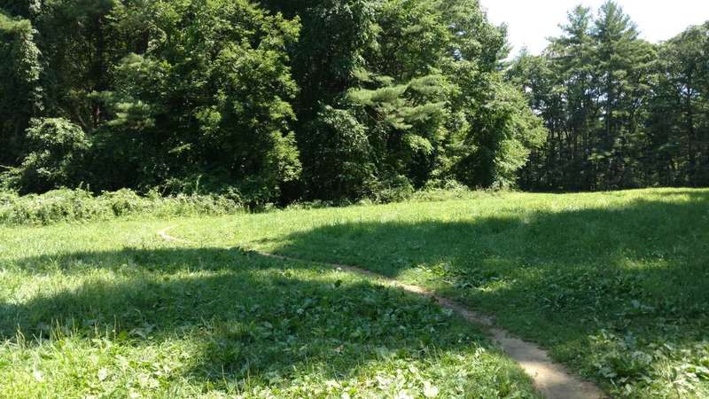 Small section of singletrack on Litchfield Loop.