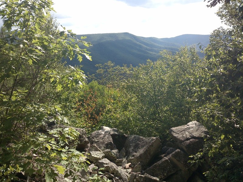 One of the few vistas along the ridge part of the loop.