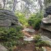 Kind of a cool rocky knoll on Hone Quarry Ridge.