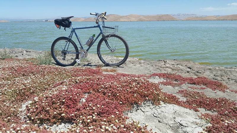 Riding the levees in the bay.