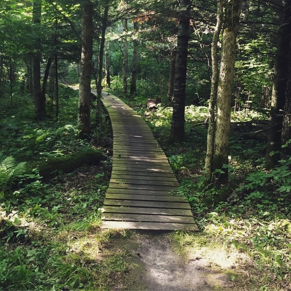 Great structures and hard work by the local volunteers have made this a fun place to ride. Thanks!