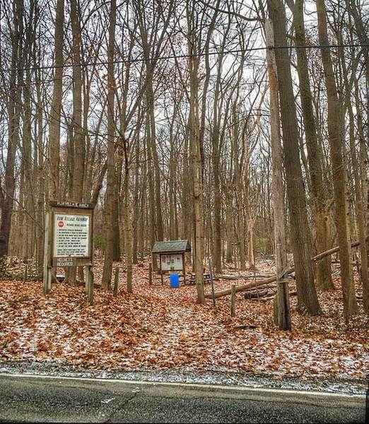 Looking west into the start of the Rum Village MTB Trail and the Blue Loop.