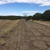 A good bit of the trail is on dirt doubletrack and a short stretch was on this old road.