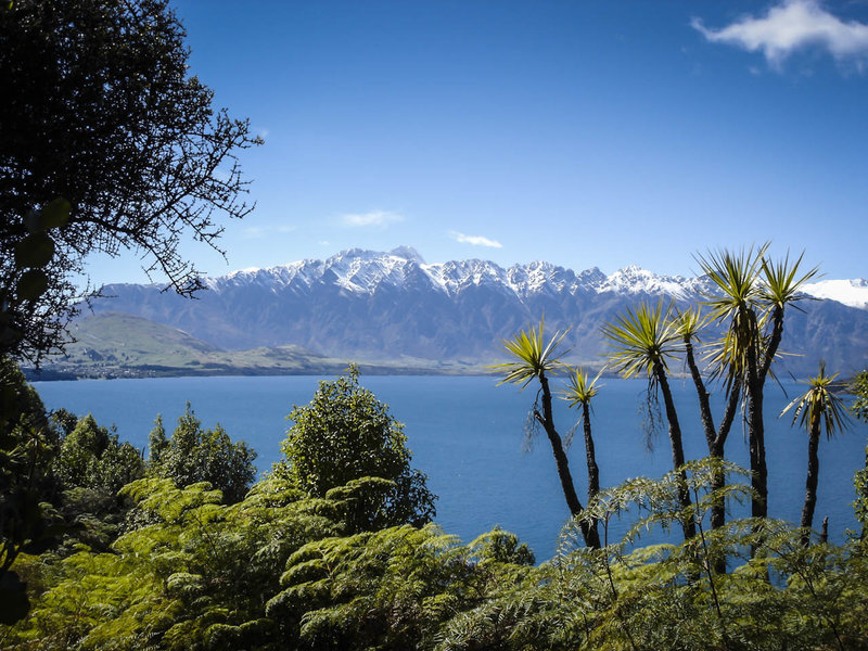 Arawata track features tropical plants and the snow-capped Remarkables mountains behind the crystal blue Lake Wakatipu.