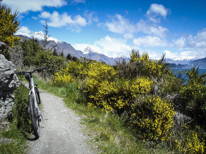 Spring has sprung along the shore of Lake Wakatipu