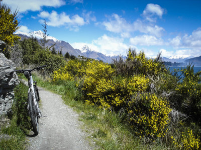 Spring has sprung along the shore of Lake Wakatipu