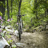 Dry Run Gap features some good-ole, no-frills dirt singletrack well beneath the forest canopy.