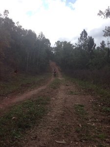 this is just start of challenge all uphill from here.