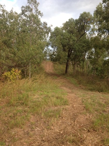 Looking back down at the descent.