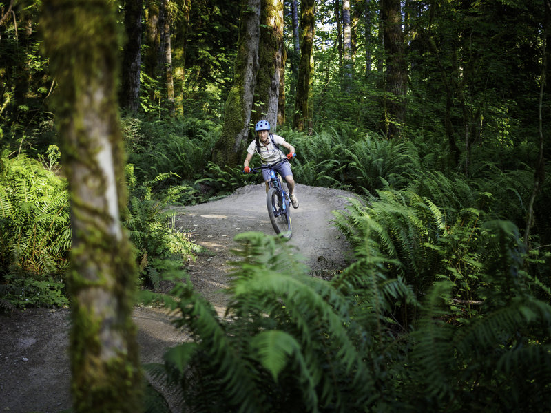 Endless Flow in a Near Perfect Trail System