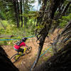 Riders head into the trees on Jackass.