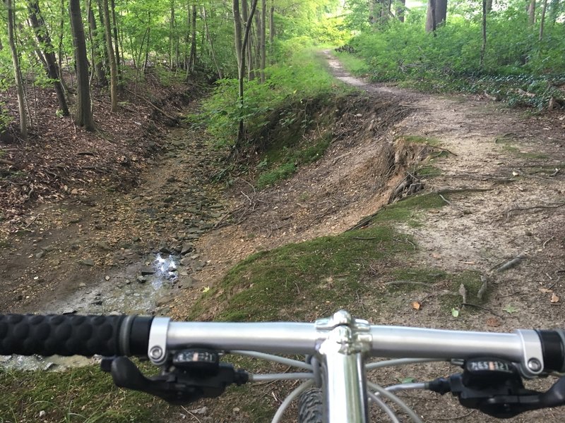 Photo of the Delran Woods Loop... This is the 5ft drop in that is optional with the trail.