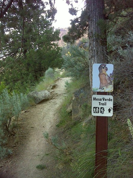 Intersection with River Trail.