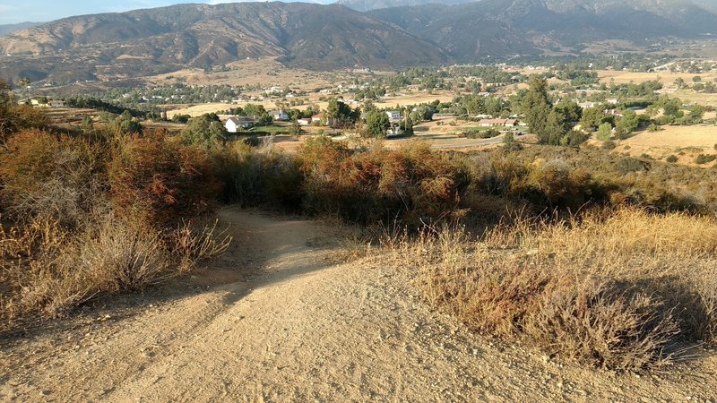 If you're on the short segment shared with a wide "road" this is where the trail branches off and continues down to Grape Street