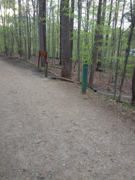 Intersection of Lake Accotink Trail and Lake Accotink Access Trail.