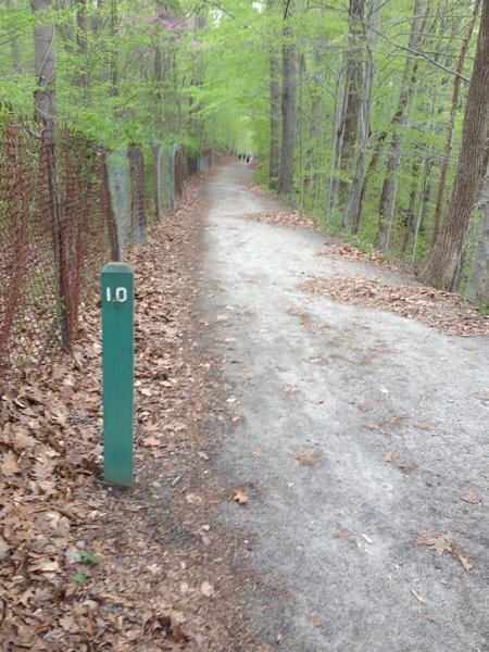 The Lake Accotink Trail includes mile markers. This portion is doubletrack