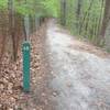The Lake Accotink Trail includes mile markers. This portion is doubletrack