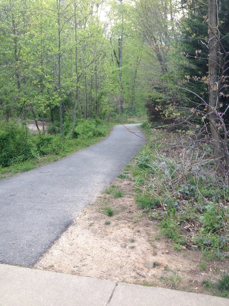 Right in the middle of the Long Branch Trail.