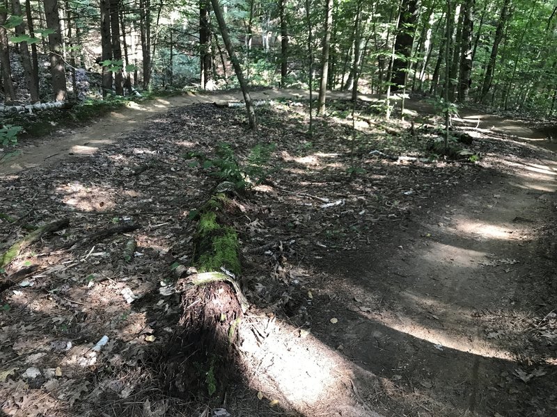 Typical Sandy Switchback on Campfire