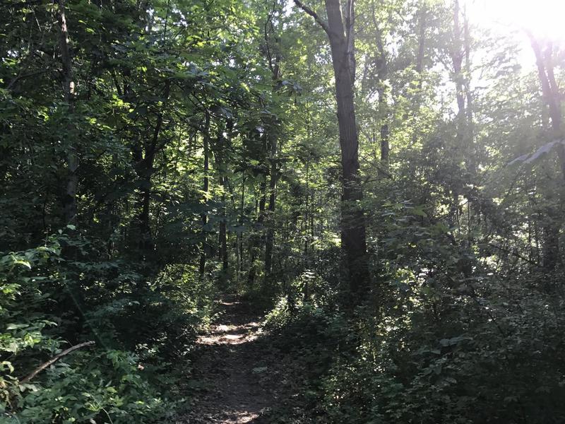 Ortonville State Recreation - Long Loop Singletrack