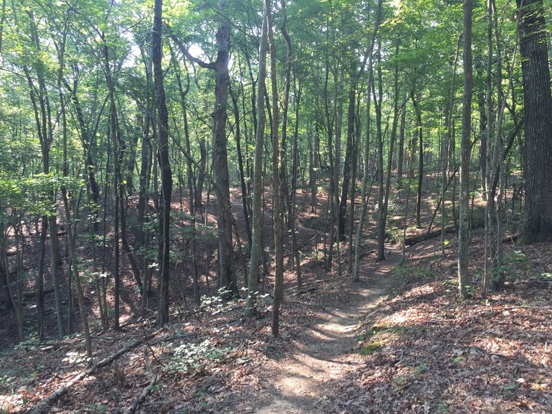 River Gorge provides great views of the river and many spectacular sections of singletrack.